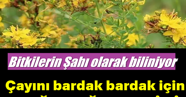 Doğal ağrı kesici ve iltihap sökücü