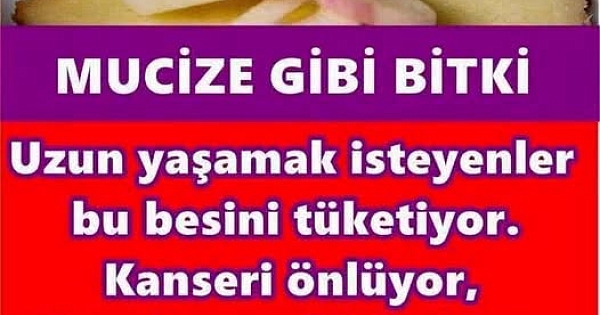 K'anseri önlüyor, tansiyonu düşürüyor 