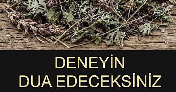 MUCİZEVİ BİTKİ 