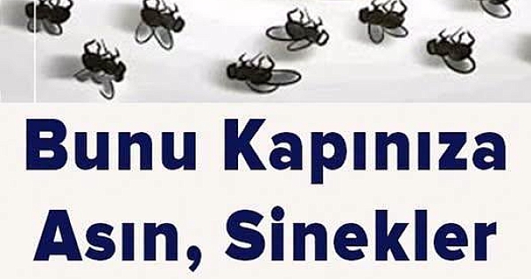Ne Sinek Ne Böcek Evinizin Eşiğine Yaklaşamayacak 
