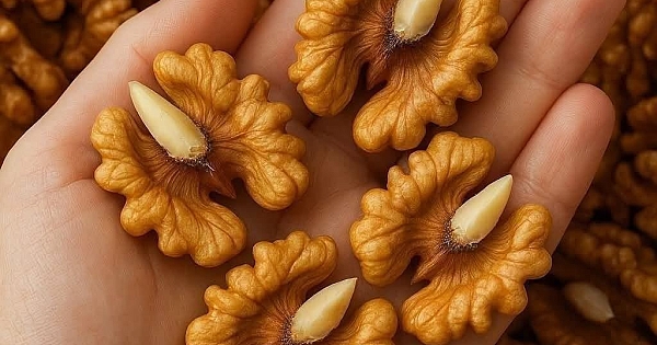 Her Gün Ceviz Yediğinizde Neler Olur 