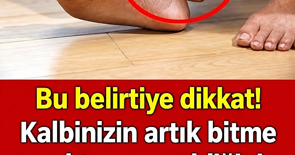 Kalbinizin ve damarlarınızın 