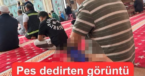 Pes dedirten görüntü 