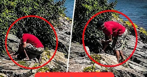 Yer Avcılar 