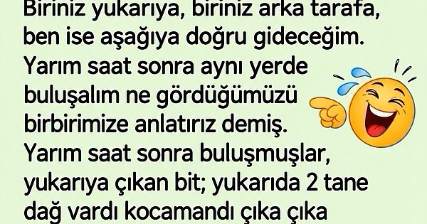 3 Bit Bir Gün Toplanıp Konuşmaya Başlamışlar 