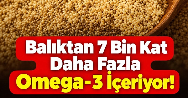 Balıktan 7 bin kat daha fazla omega3 içeriyor