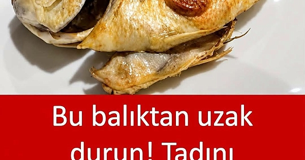 Bu Balıktan Uzak Durun 