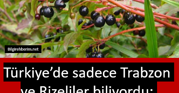 Dizlerde sıvı kaybı ve kireçlenmeye son 