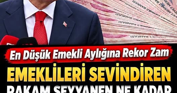 Emekliye Seyyanen 