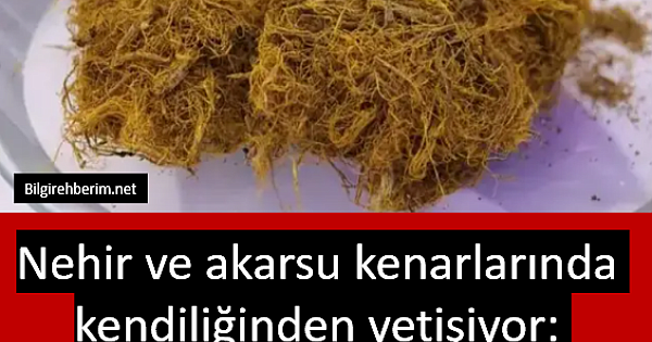 Gastrit, reflü ve mide ülserini bıçak gibi kesiyor 
