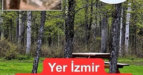 Görüntüler İzmir’den tam bir rezalet 