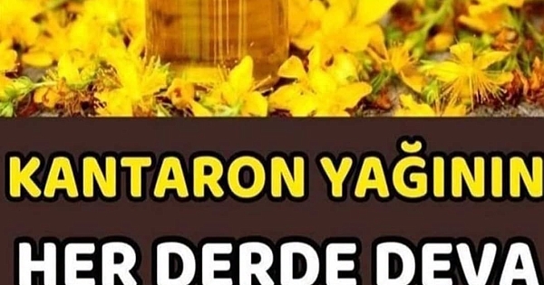 Hücre yenileyici kantaron yaginin faydalari 