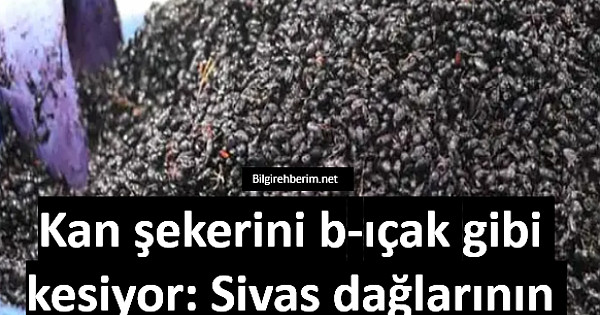 Kan şekerini düşüren şifa kaynağı