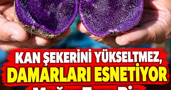 Kan şekerini yükseltmiyor, damarları esnetiyor 