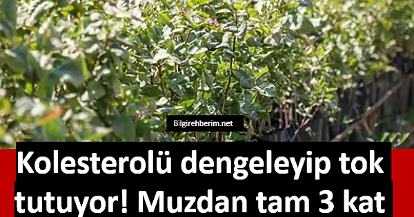 Kolesterolü dengeleyip tok tutuyor 