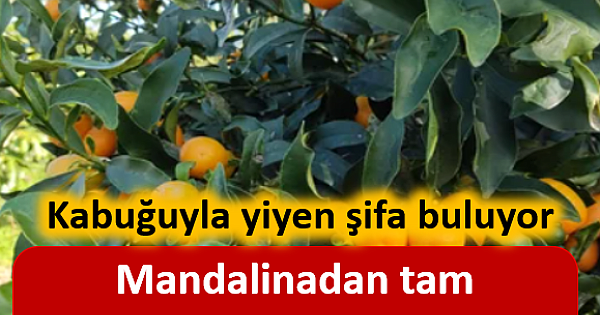 Mandalinadan tam 120 kat fazla C vitamini var!  