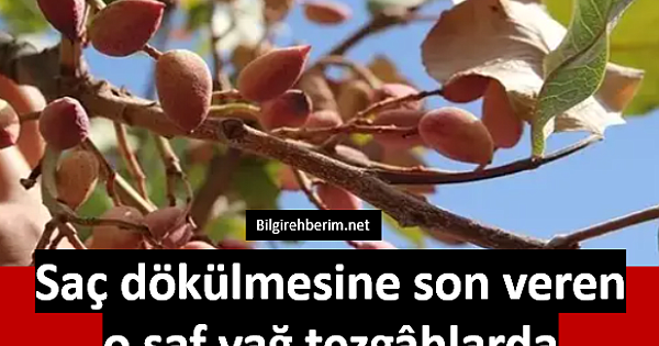 Saç dökülmesine son veren doğal yağ