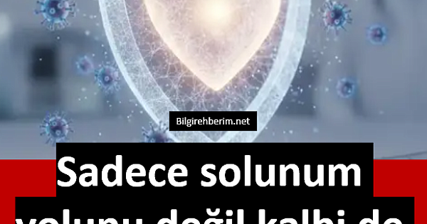Sadece solunum yolunu değil kalbi de zırh gibi koruyor 