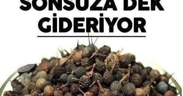 Ses kısıklığına ve ağız kokusuna çare! 