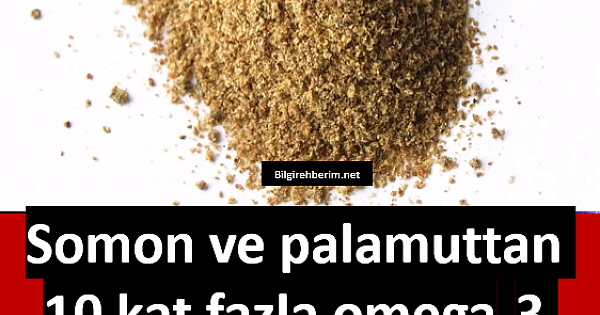 Somon ve palamuttan 10 kat fazla omega-3 içeriyor 