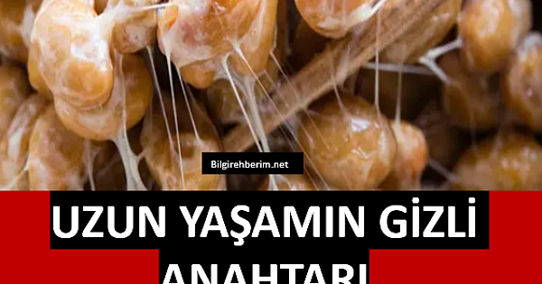 Uzun yaşamın gizli anahtarı bulundu 