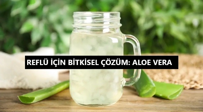 Aloe vera, reflü için bitkisel çözüm mü? Aloe vera, mide yanmasına iyi gelir mi?