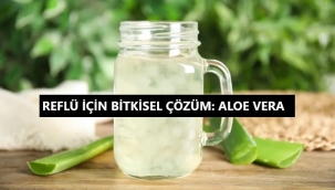 Aloe vera, reflü için bitkisel çözüm mü? Aloe vera, mide yanmasına iyi gelir mi?