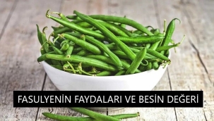 Yeşil Fasulyenin 10 Faydası, Besin Değeri ve Yan Etkileri