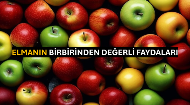 Elmanın Birbirinden Değerli Faydaları