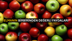 Elmanın Birbirinden Değerli Faydaları