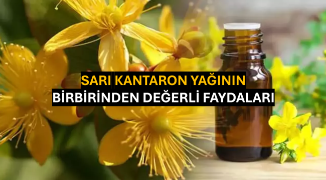 Sarı Kantaron Yağının Birbirinden Değerli Faydaları