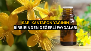 Sarı Kantaron Yağının Birbirinden Değerli Faydaları