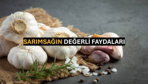 Sarımsağın Değerli Faydaları